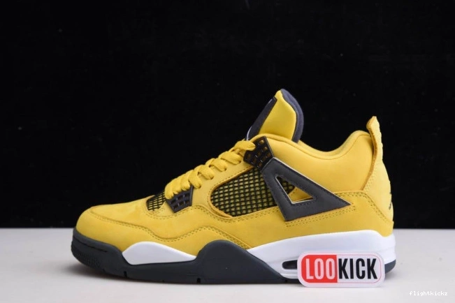 Air Jordan CT8527-700 Lightning Retro 4 1005